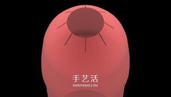 水火箭制作方法图解 自制水火箭的设计与制作(图5)