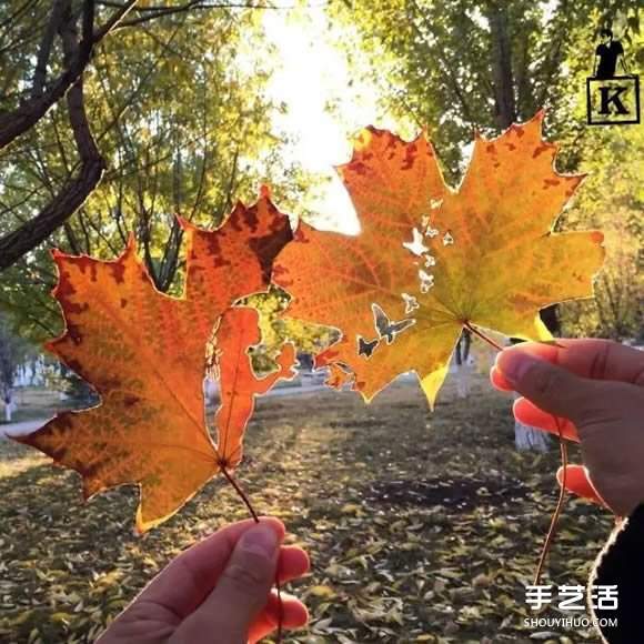 叶子切割画作品图片 精美手工叶切画图片欣赏(图5)