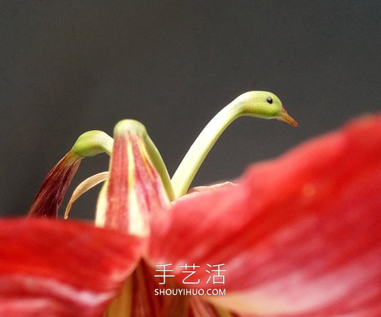 花儿还可以这样玩！创意让花儿变得这么有趣(图3)