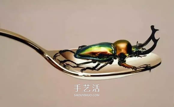 真没糊弄你！韩国画家一笔一笔画的超写实画(图6)