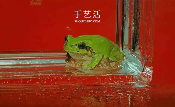 真没糊弄你！韩国画家一笔一笔画的超写实画(图4)