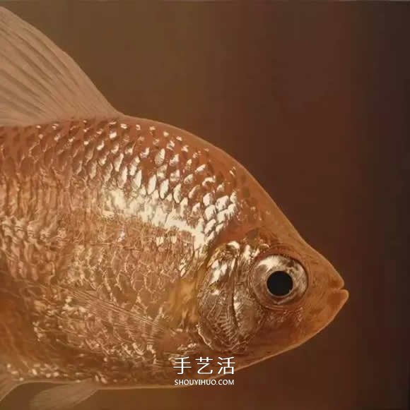 真没糊弄你！韩国画家一笔一笔画的超写实画(图2)