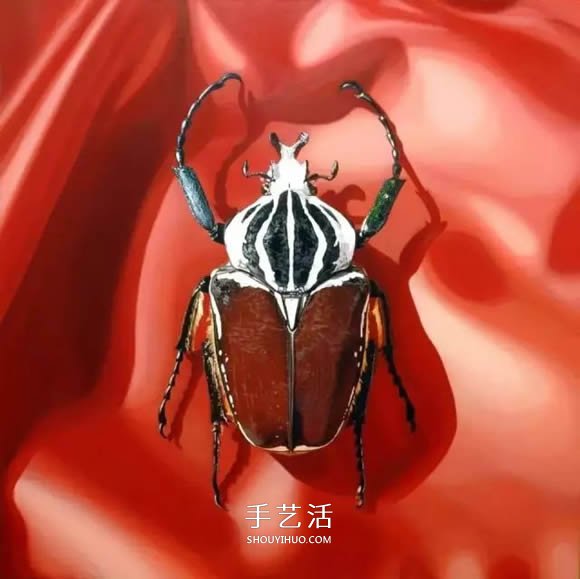 真没糊弄你！韩国画家一笔一笔画的超写实画(图10)
