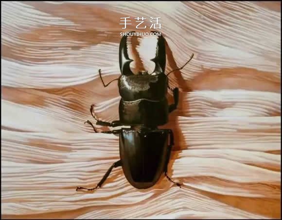 真没糊弄你！韩国画家一笔一笔画的超写实画(图11)
