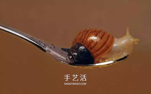 真没糊弄你！韩国画家一笔一笔画的超写实画(图15)