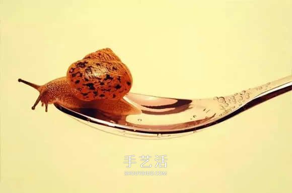 真没糊弄你！韩国画家一笔一笔画的超写实画(图16)