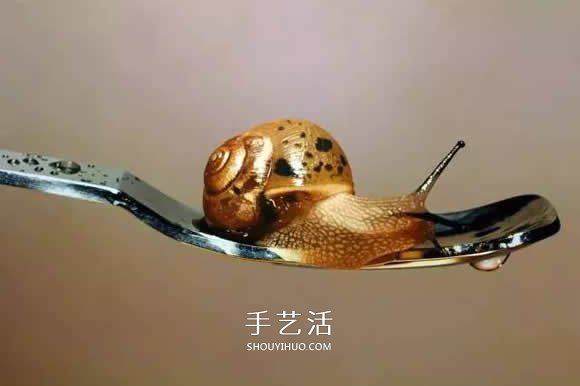 真没糊弄你！韩国画家一笔一笔画的超写实画(图17)