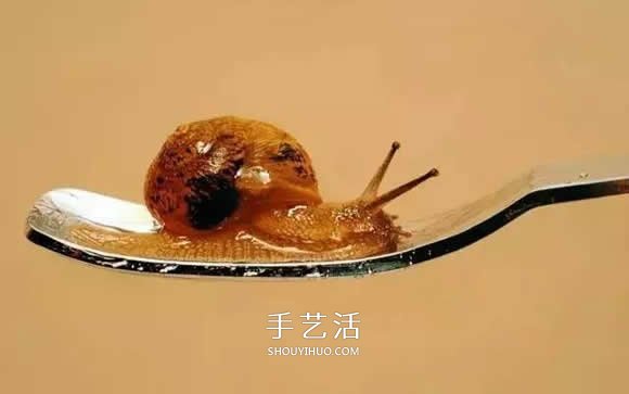 真没糊弄你！韩国画家一笔一笔画的超写实画(图19)