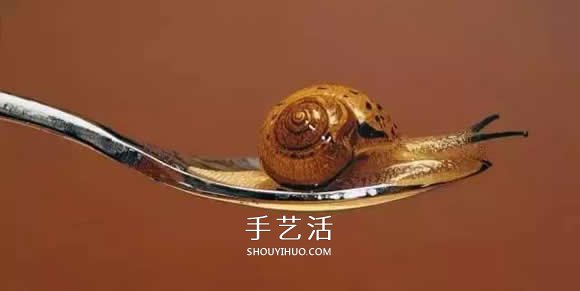 真没糊弄你！韩国画家一笔一笔画的超写实画(图18)