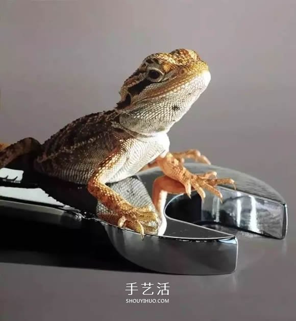 真没糊弄你！韩国画家一笔一笔画的超写实画(图22)