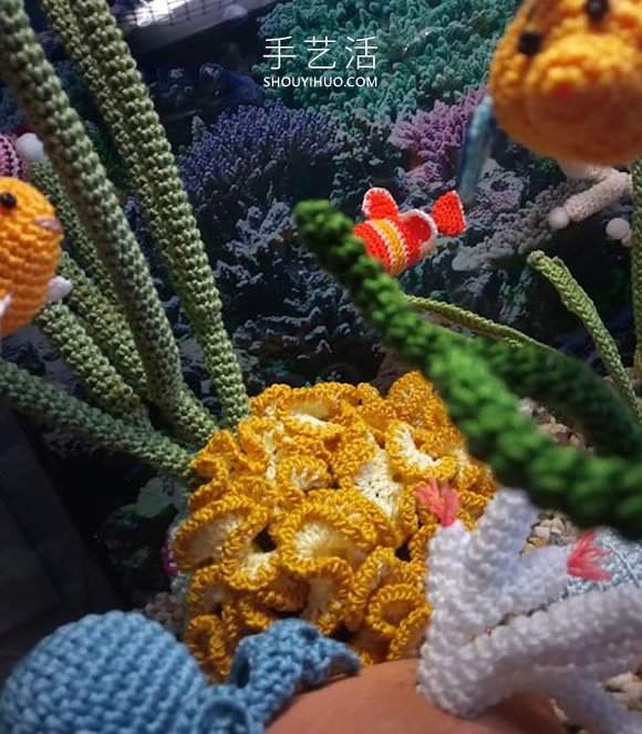 她钩织海洋生物，制作出一个逼真的水族馆(图4)