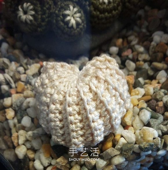 她钩织海洋生物，制作出一个逼真的水族馆(图6)