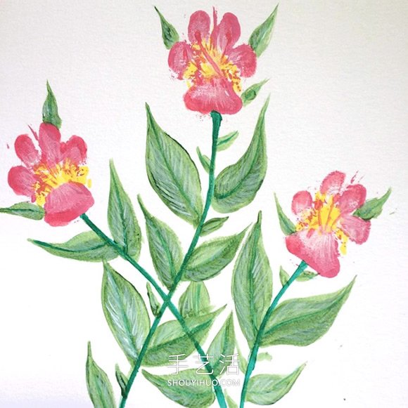 宠物主人用狗的脚爪画出漂亮的花朵画(图2)