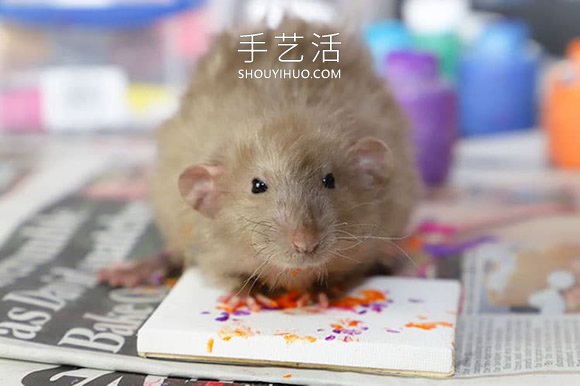 才华横溢的老鼠创作的微型画，被抢购一空！(图8)