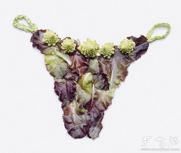 水果和食物DIY的生活用品(图5)