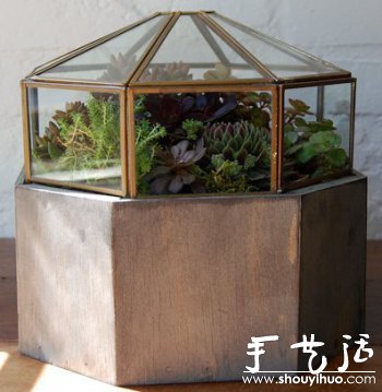 DIY玻璃植物盒(图3)