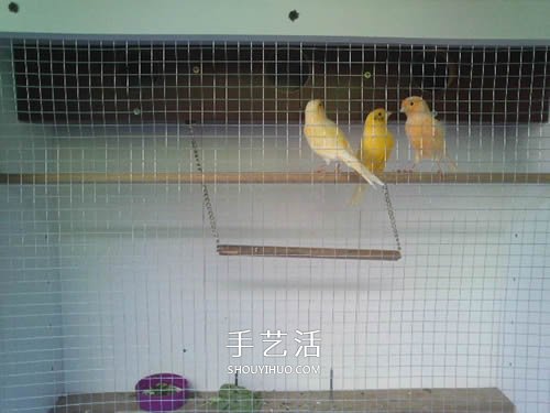 旧书架改造鸟柜的方法 旧家具DIY制作超大鸟笼(图7) 旧书架改造鸟柜的方法 旧家具DIY制作超大鸟笼(图7)