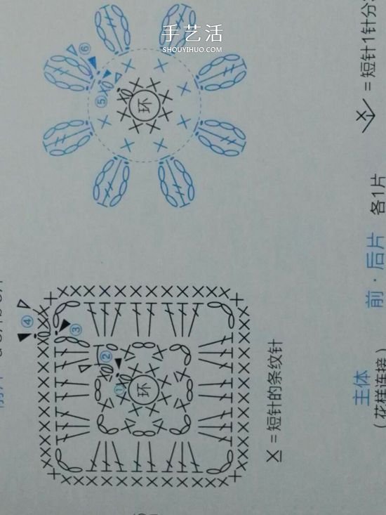 保暖又好看！钩针编织百日菊坐垫的编法图解(图5)