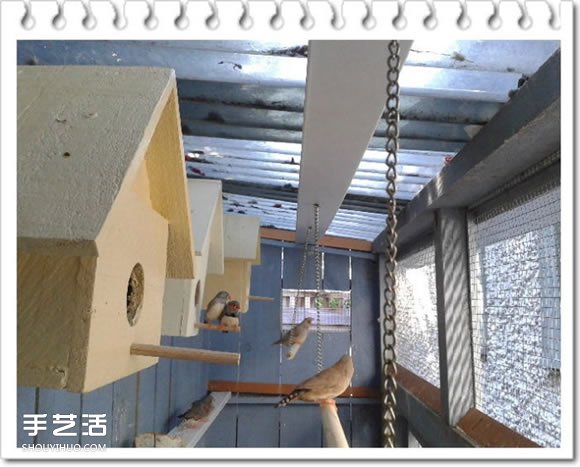 鸡舍改造成鸟舍的方法 自制大空间鸟舍DIY教程(图20)