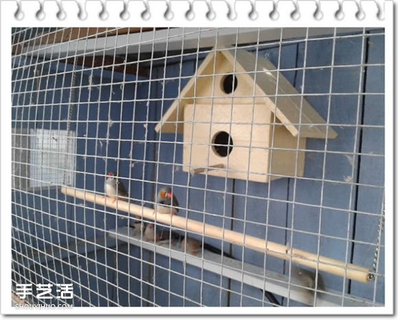 鸡舍改造成鸟舍的方法 自制大空间鸟舍DIY教程(图21)