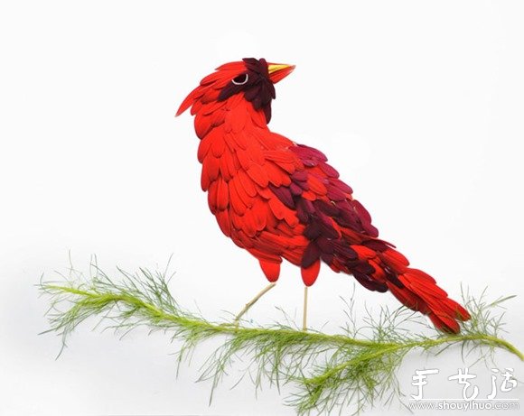 鲜花花瓣和植物枝干DIY的鸟类(图5)