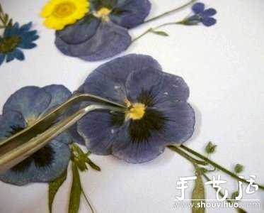 押花手工DIY方法(图6)