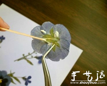 押花手工DIY方法(图5)