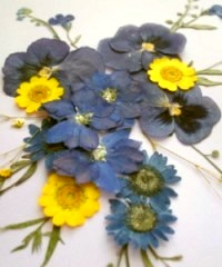 押花手工DIY方法(图8)