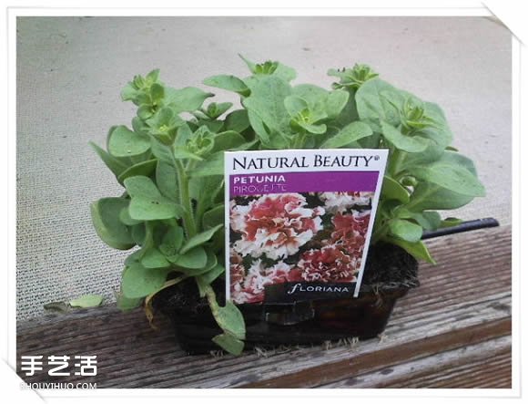 铁架DIY花盆架子图解 旧玩具废物利用做花盆架(图10)