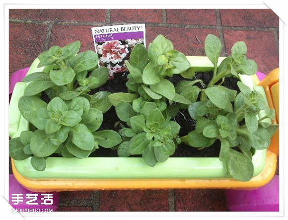 铁架DIY花盆架子图解 旧玩具废物利用做花盆架(图12)