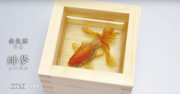 可怜小金鱼被透明树脂封存？别哭，你再仔细看(图3)