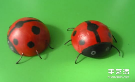 简单幼儿小手工：乒乓球制作七星瓢虫的方法(图10)