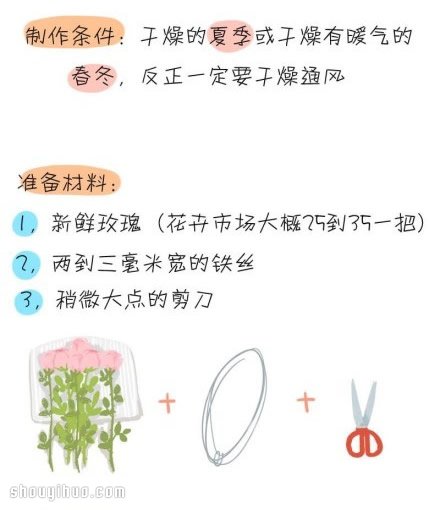 如何制作干花 干花制作方法图解教程(图2)