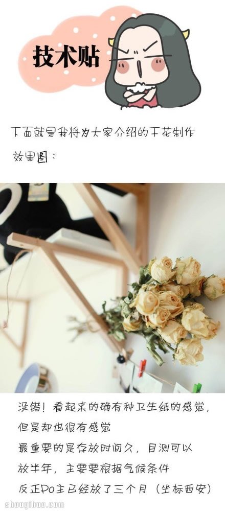 如何制作干花 干花制作方法图解教程(图1)