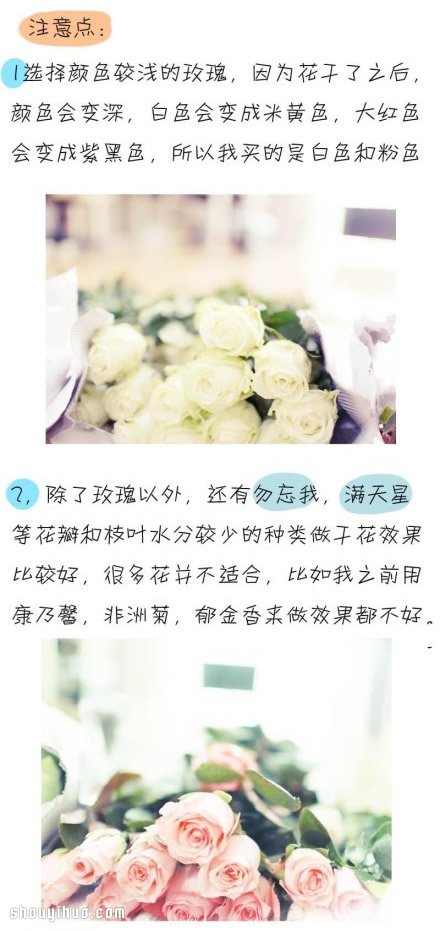 如何制作干花 干花制作方法图解教程(图3)