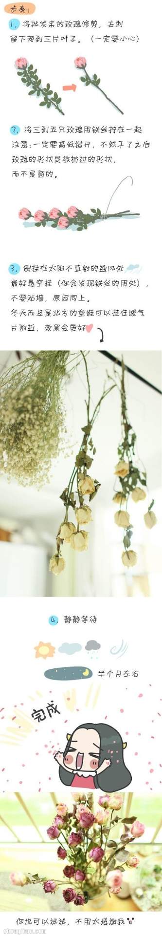 如何制作干花 干花制作方法图解教程(图4)