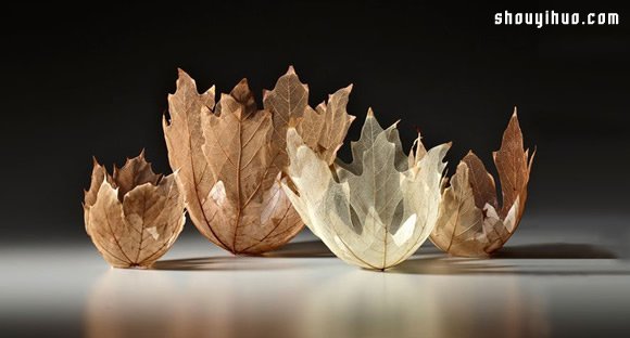 Kay Sekimachi 干枯叶子制作叶片碗雕塑(图4)