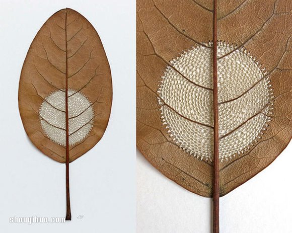 Susanna Bauer缝纫作品 在枯叶上穿针引线 - 诺云双维造物网
