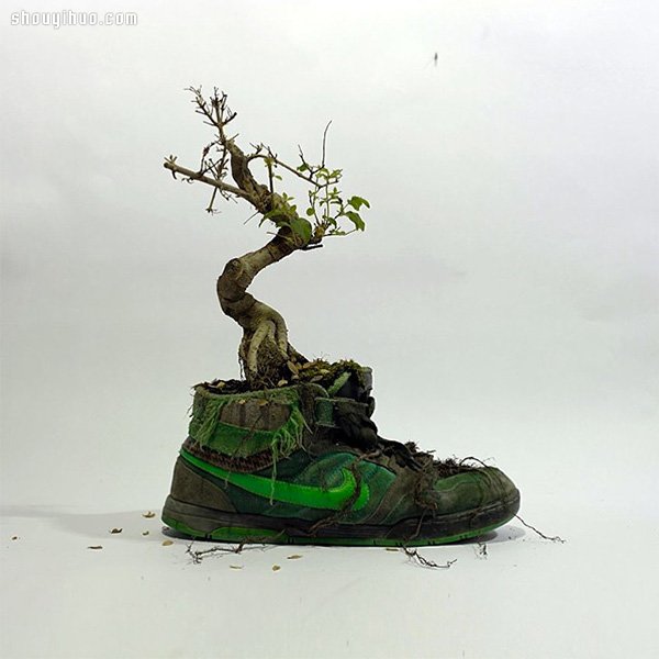 NIKE 球鞋创意DIY 变身漂亮小盆栽(图4)