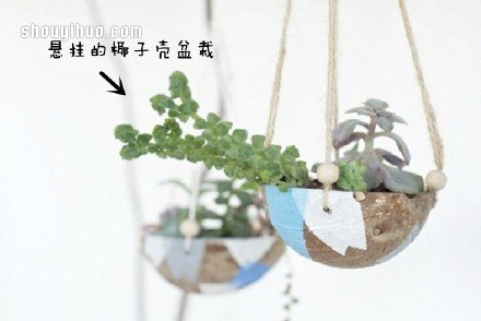 废物利用创意花盆盆栽DIY(图2)