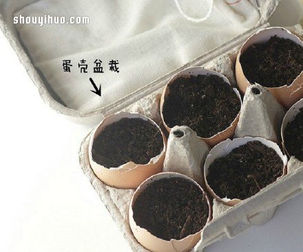 废物利用创意花盆盆栽DIY(图1)