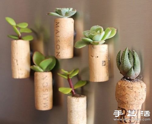 废品利用:12个废物利用小技巧DIY创意盆栽(图9)