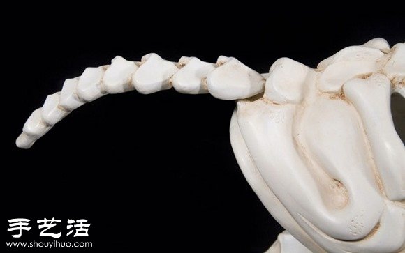印度艺术家DIY的史前怪兽汽车模型(图8)