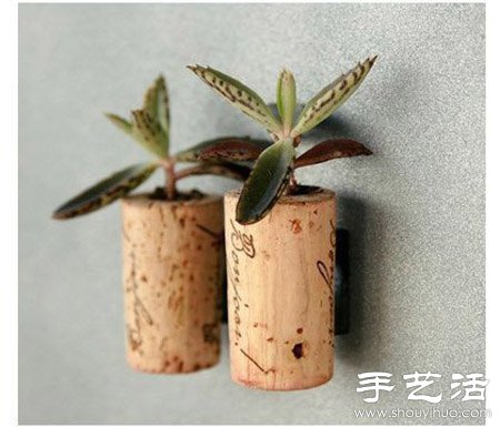 瓶瓶罐罐废物利用DIY迷你盆栽(图1)