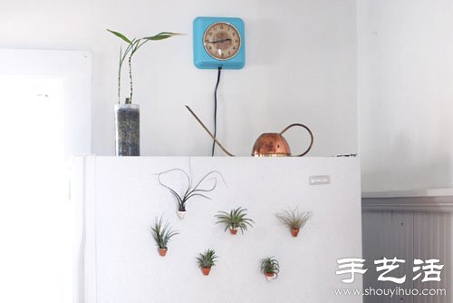 DIY手工制作迷你盆栽冰箱贴(图5)