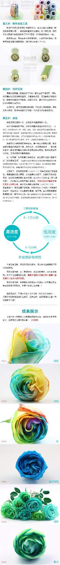 白玫瑰制作彩虹玫瑰的DIY教程(图3)