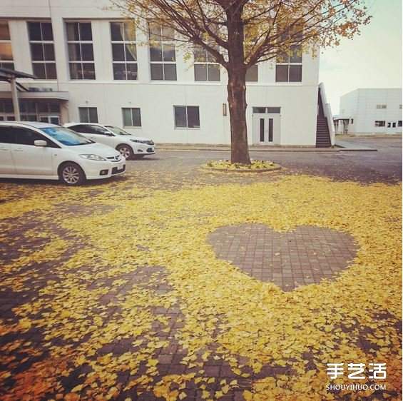 扫地也能很诗意 这么DIY让秋天落叶更浪漫！(图3)