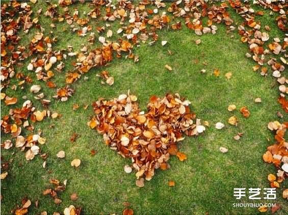 扫地也能很诗意 这么DIY让秋天落叶更浪漫！(图4)