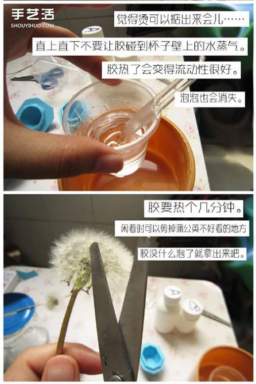 树脂蒲公英透明饰品手工DIY制作详细图解教程(图6)