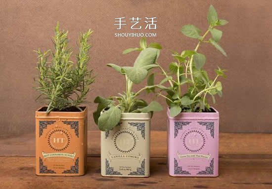 不花一分钱！废物利用做花盆美到让邻居羡慕(图3)